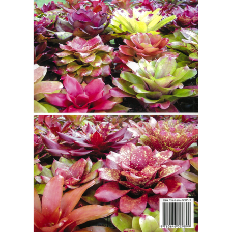 Bromeliad Hybrids: For my own Satisfaction Book 1 Neoregelias - Image 4