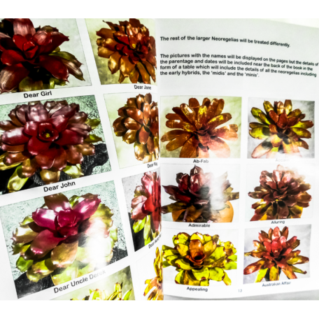 Bromeliad Hybrids: For my own Satisfaction Book 1 Neoregelias - Image 3
