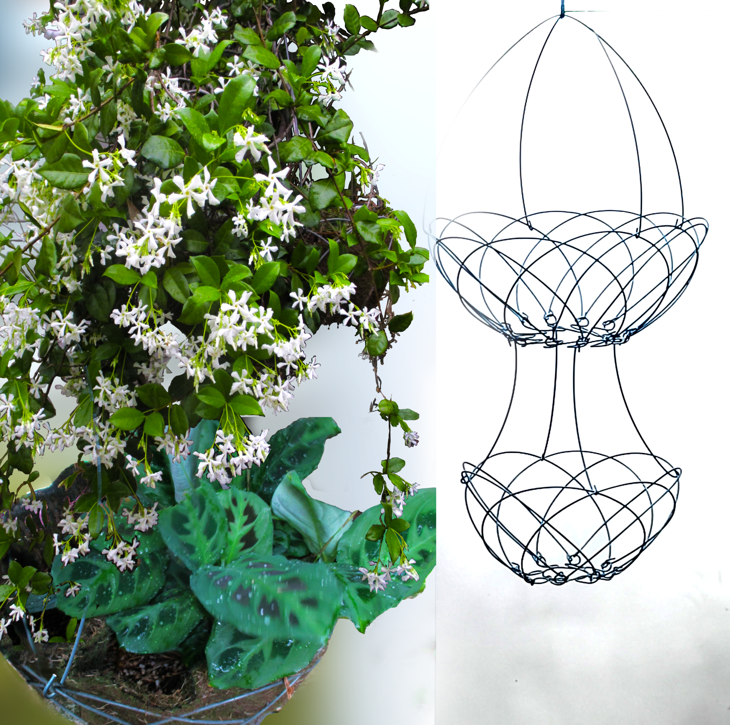 DBl combo 25cm + 50cm basket combination