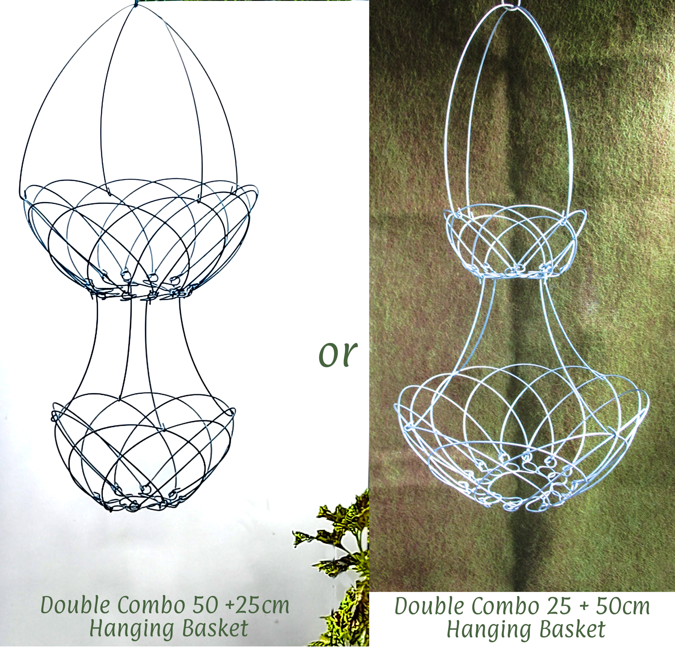 Combo 25+50 or 50+25